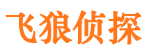 河池寻人公司